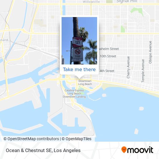Mapa de Ocean & Chestnut SE