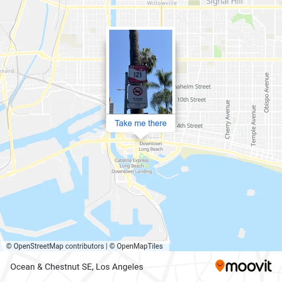 Ocean & Chestnut SE map