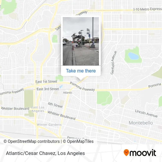 Atlantic/Cesar Chavez map