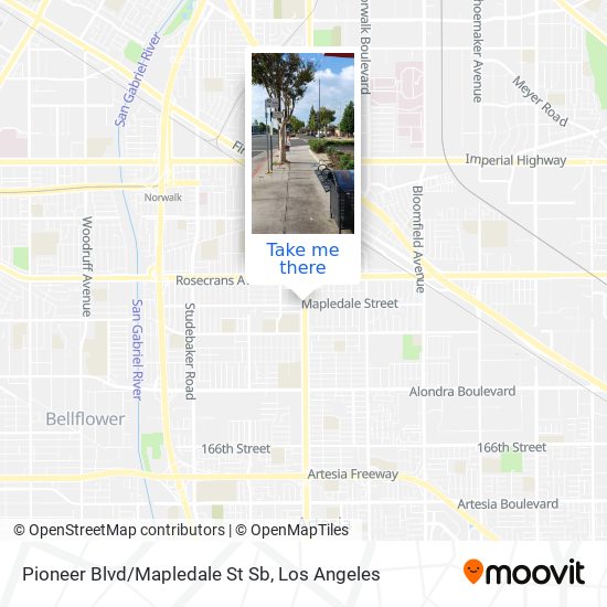 Pioneer Blvd/Mapledale St Sb map