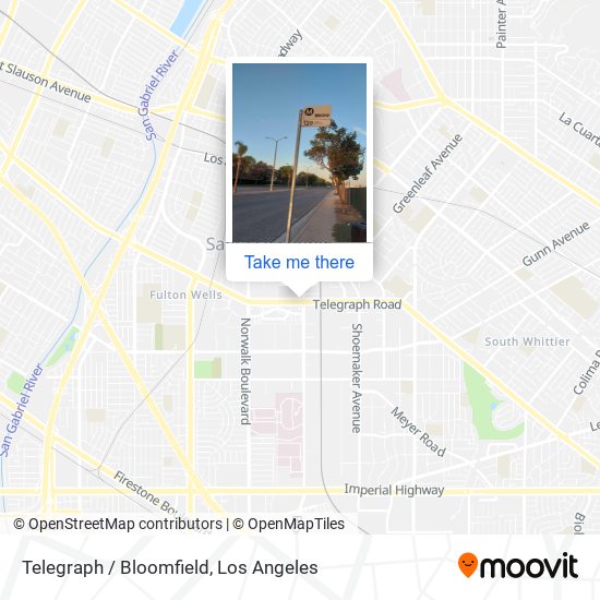 Telegraph / Bloomfield map