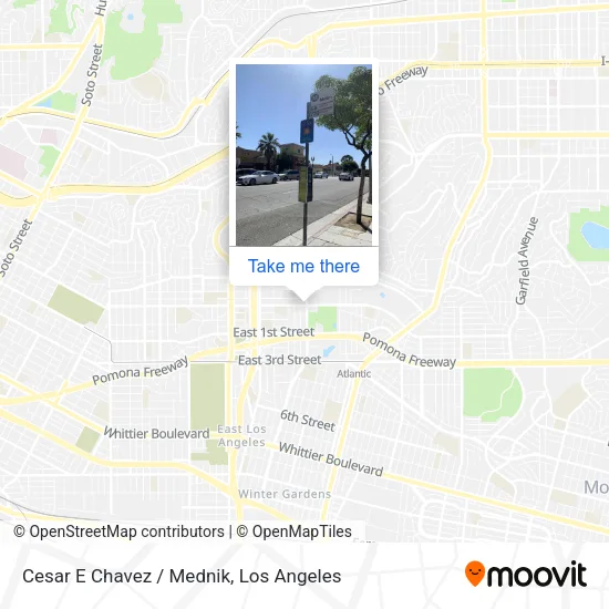 Cesar E Chavez / Mednik map