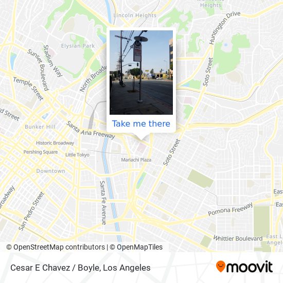 Cesar E Chavez / Boyle map