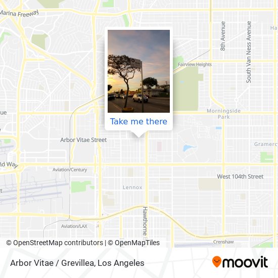 Arbor Vitae / Grevillea map