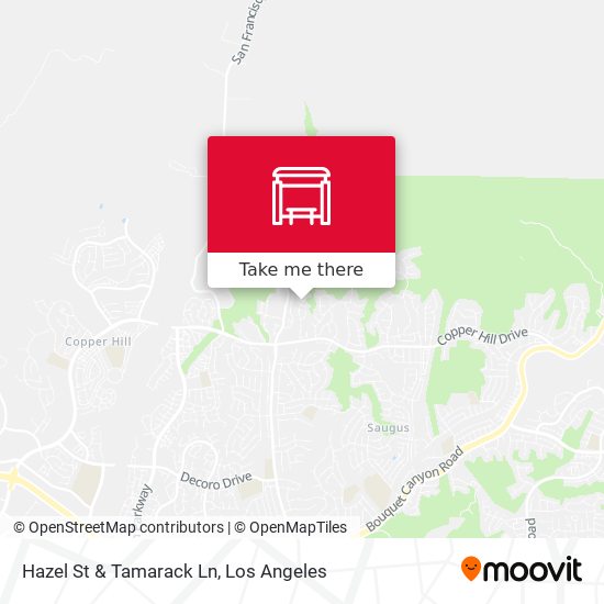 Hazel St & Tamarack Ln map