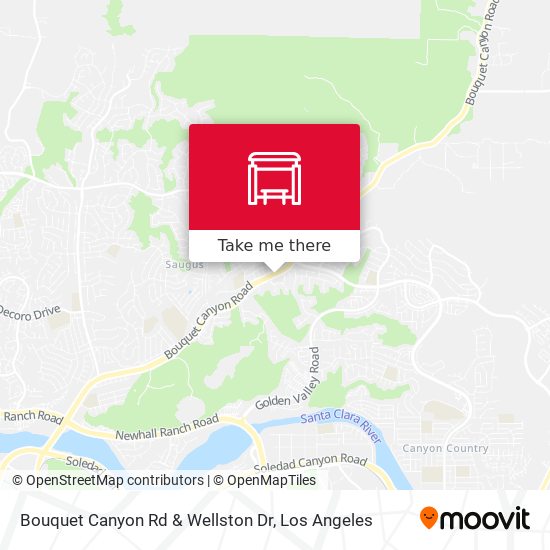 Bouquet Canyon Rd & Wellston Dr map