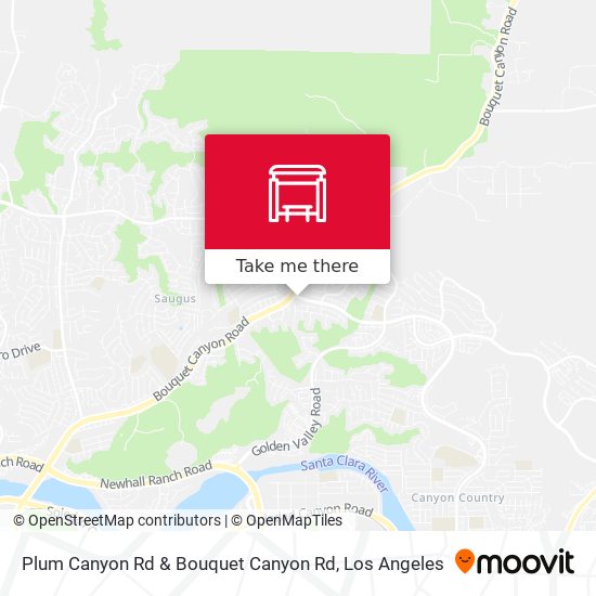 Plum Canyon Rd & Bouquet Canyon Rd map