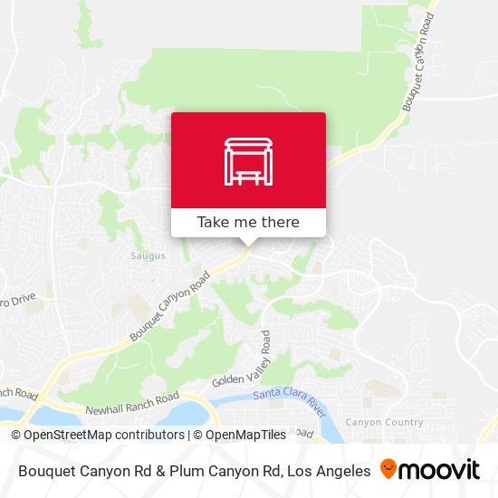 Bouquet Canyon Rd & Plum Canyon Rd map