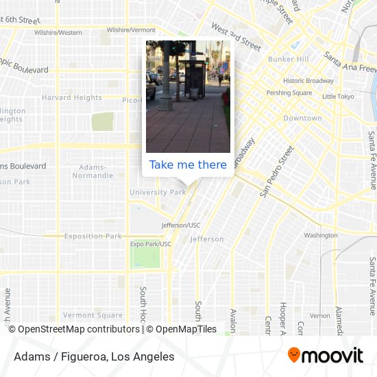 Mapa de Adams / Figueroa