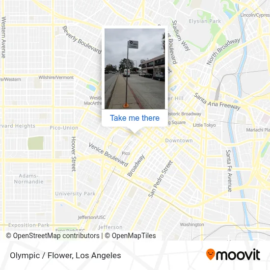 Olympic / Flower map