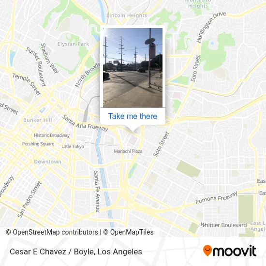 Cesar E Chavez / Boyle map
