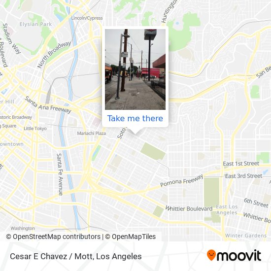Mapa de Cesar E Chavez / Mott