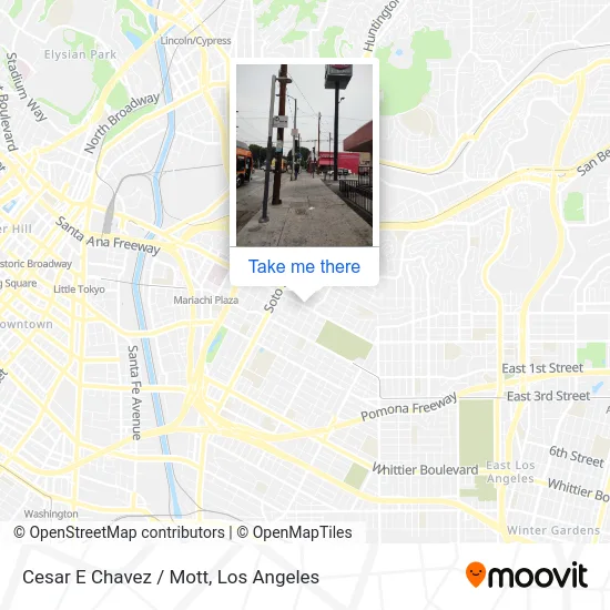 Cesar E Chavez / Mott map