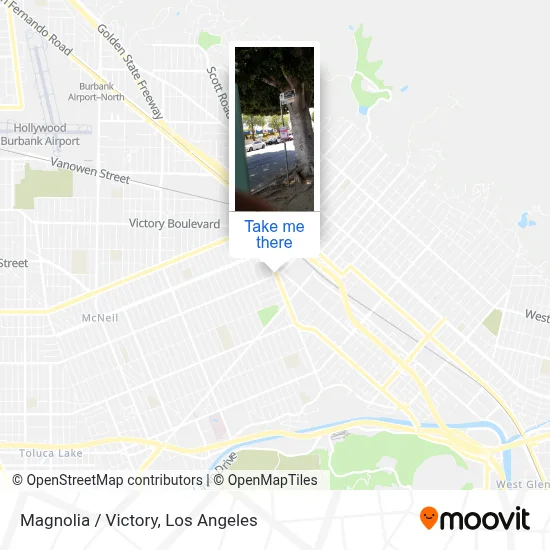 Magnolia / Victory map