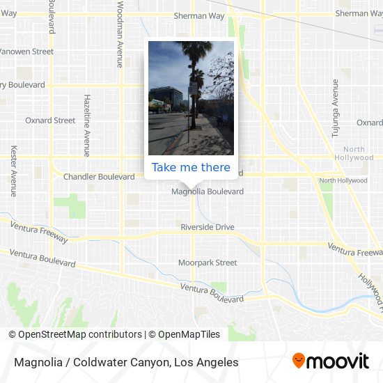 Magnolia / Coldwater Canyon map