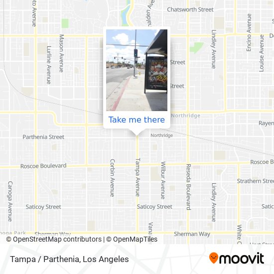 Mapa de Tampa / Parthenia