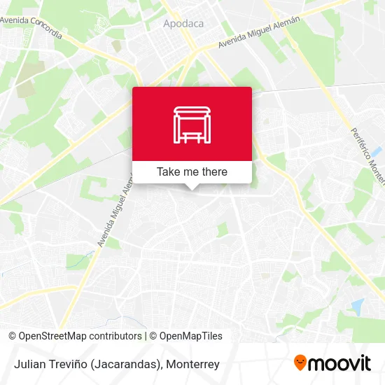 Mapa de Julian Treviño (Jacarandas)
