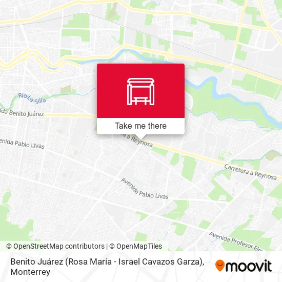 Mapa de Benito Juárez (Rosa María - Israel Cavazos Garza)
