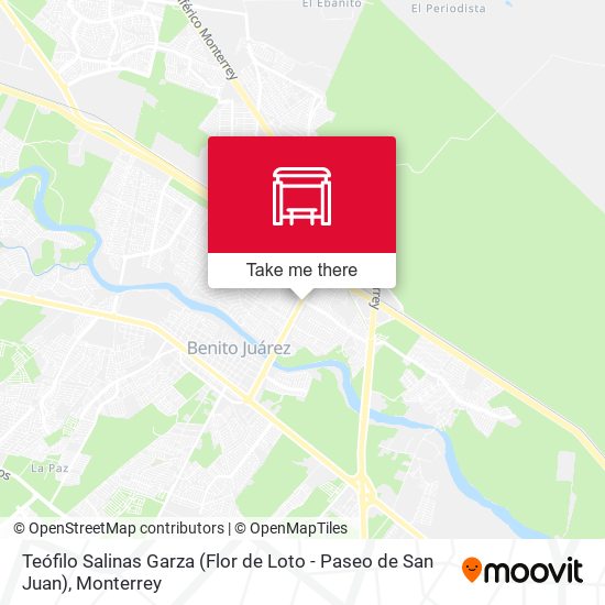 Teófilo Salinas Garza (Flor de Loto - Paseo de San Juan) map