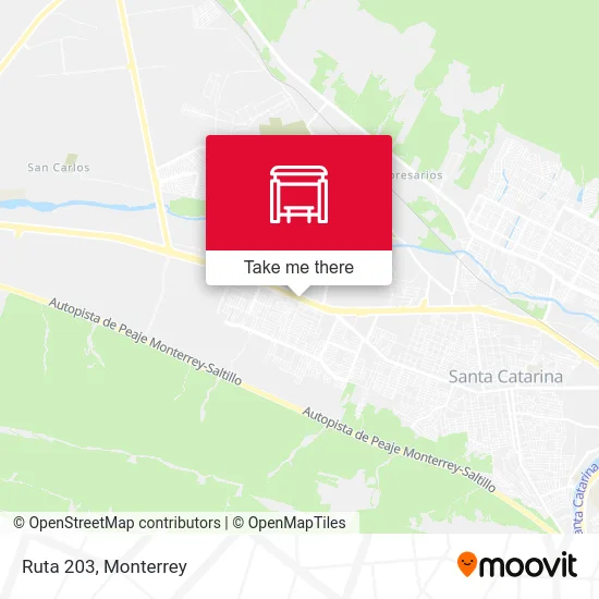 Ruta 203 map