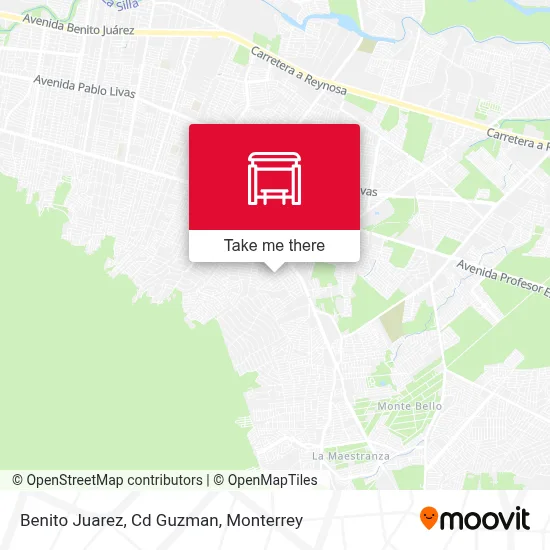 Benito Juarez, Cd Guzman map