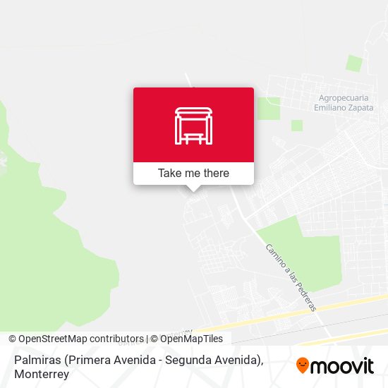 Mapa de Palmiras (Primera Avenida - Segunda Avenida)