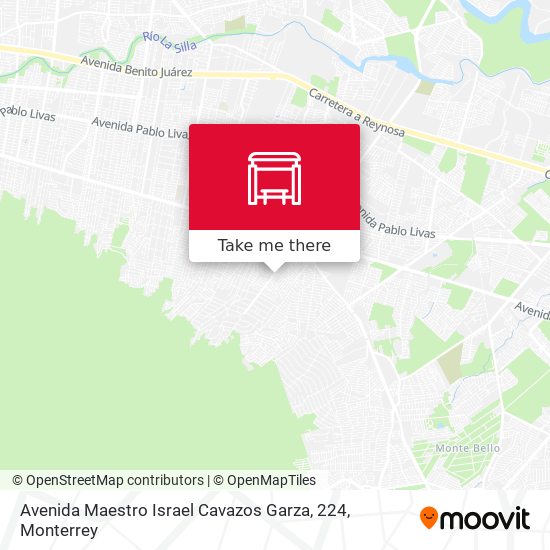 Avenida Maestro Israel Cavazos Garza, 224 map