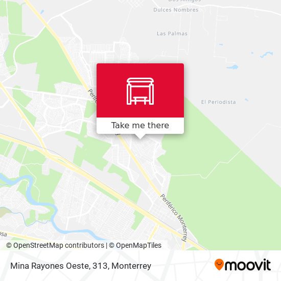 Mina Rayones Oeste, 313 map