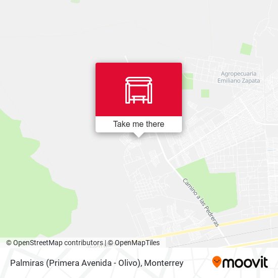 Palmiras (Primera Avenida - Olivo) map