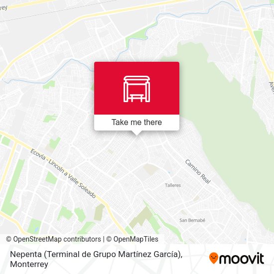 Mapa de Nepenta (Terminal de Grupo Martínez García)