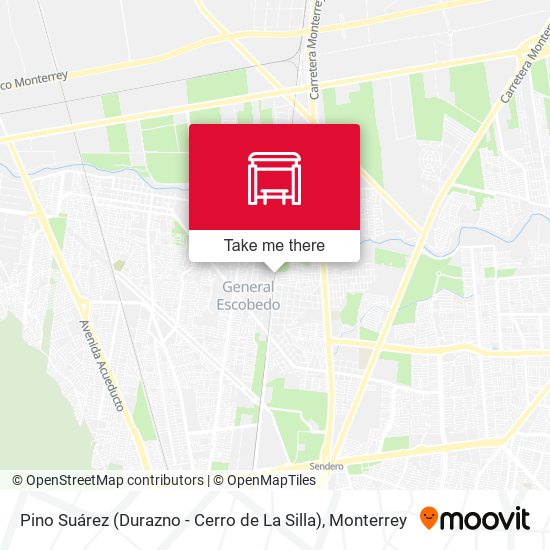 Mapa de Pino Suárez (Durazno - Cerro de La Silla)