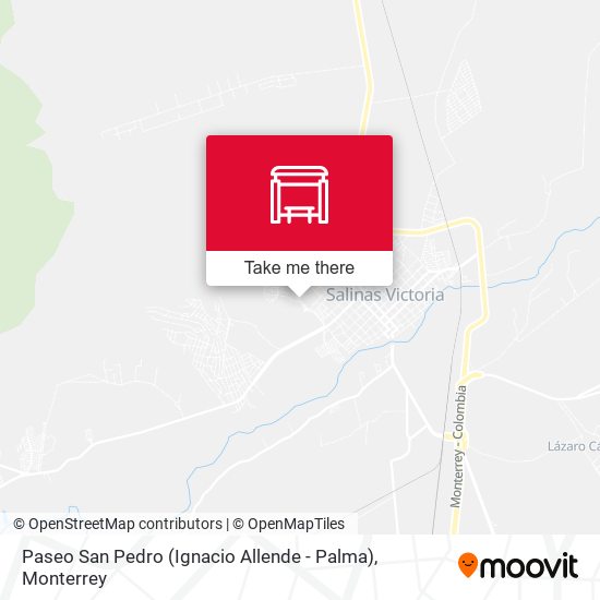 Paseo San Pedro (Ignacio Allende - Palma) map