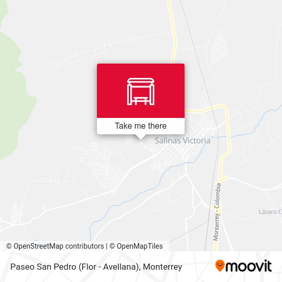 Paseo San Pedro (Flor - Avellana) map