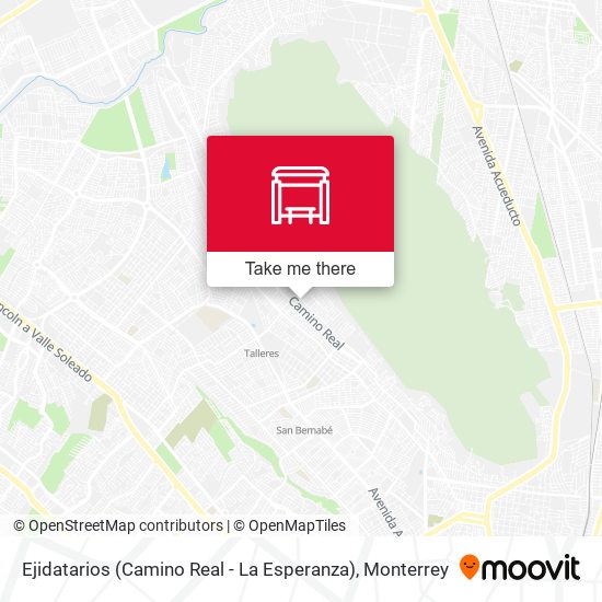 Ejidatarios (Camino Real - La Esperanza) map