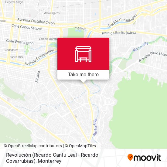 Mapa de Revolución (Ricardo Cantú Leal - Ricardo Covarrubias)