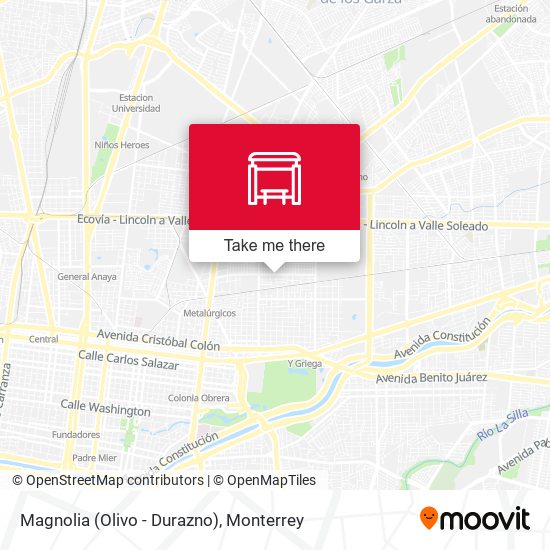 Magnolia (Olivo - Durazno) map