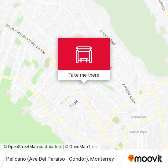Pelícano (Ave Del Paraíso - Cóndor) map