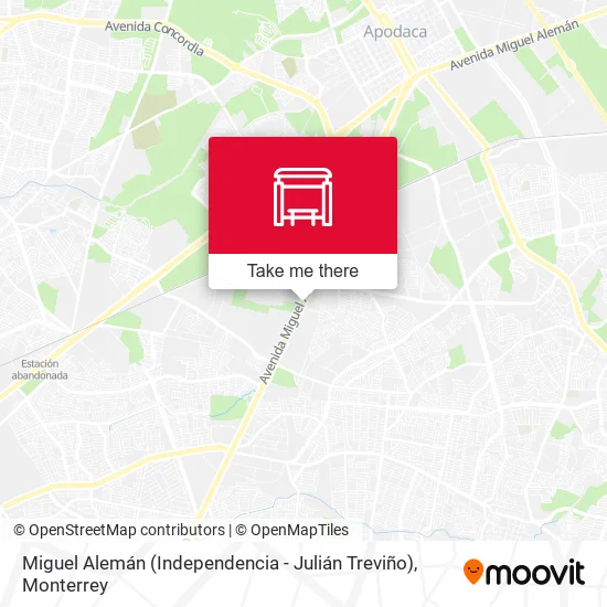 Mapa de Miguel Alemán (Independencia - Julián Treviño)