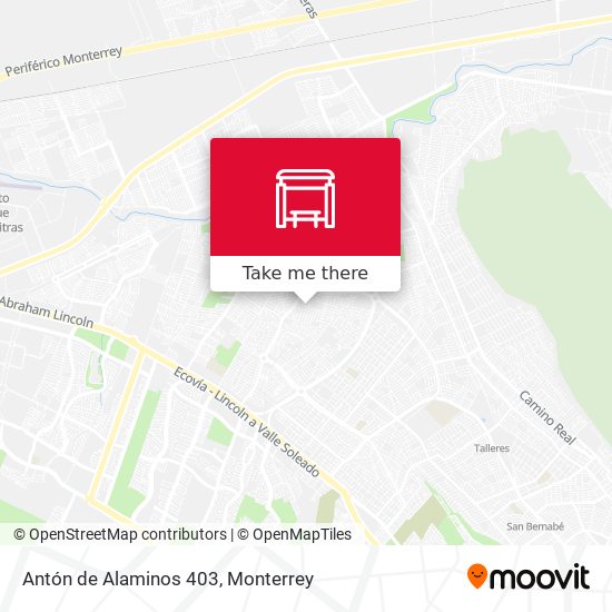 Mapa de Antón de Alaminos 403