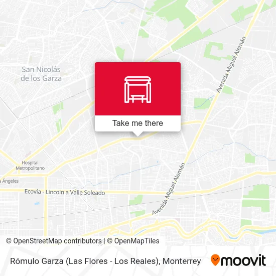 Mapa de Rómulo Garza (Las Flores - Los Reales)