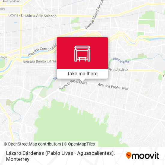 Mapa de Lázaro Cárdenas (Pablo Livas - Aguascalientes)