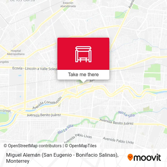 Mapa de Miguel Alemán (San Eugenio - Bonifacio Salinas)