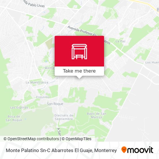 Mapa de Monte Palatino Sn-C Abarrotes El Guaje