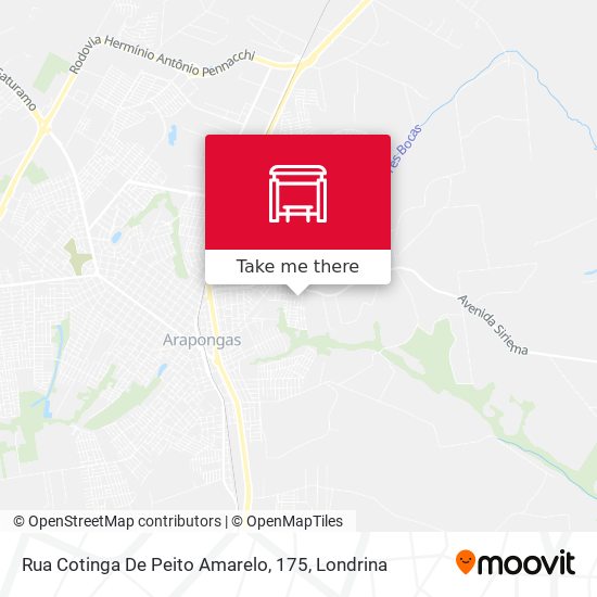 Rua Cotinga De Peito Amarelo, 175 map