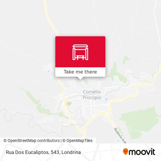 Rua Dos Eucaliptos, 543 map