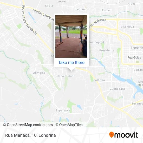 Rua Manacá, 10 map