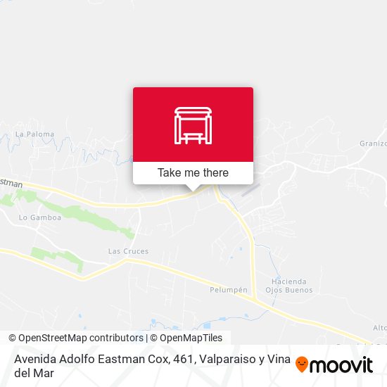 Avenida Adolfo Eastman Cox, 461 map