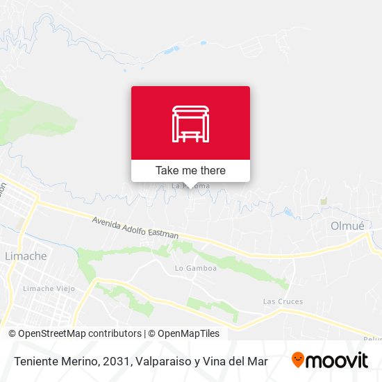 Teniente Merino, 2031 map
