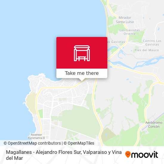 Magallanes - Alejandro Flores Sur map