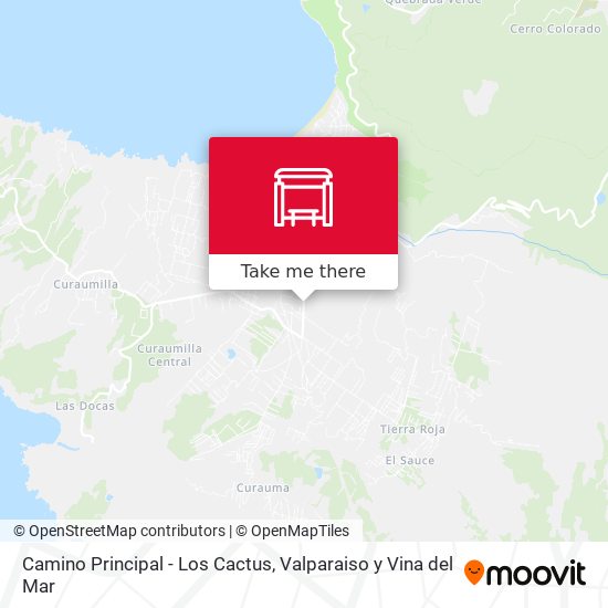 Mapa de Camino Principal - Los Cactus